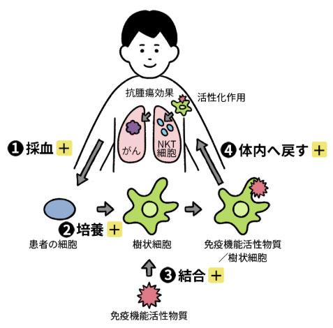 NKT細胞標的治療