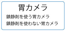 胃カメラ検査